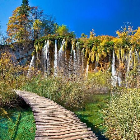 Andrea In Sertic Poljana - Haus Fuer 6 Personen Plitvicka Jezera Bagian luar foto